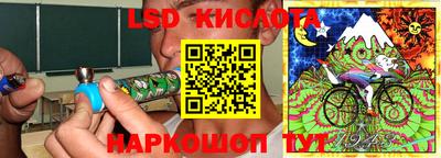 крисы Пенза