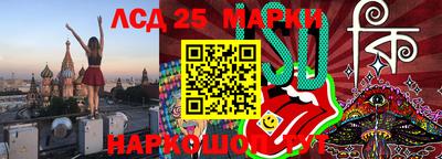 крисы Пенза