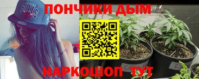 крисы Пенза
