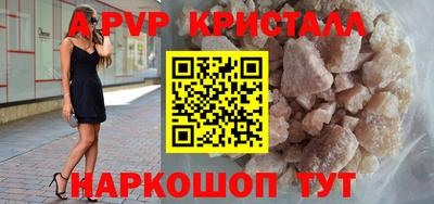 крисы Пенза