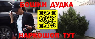 крисы Пенза