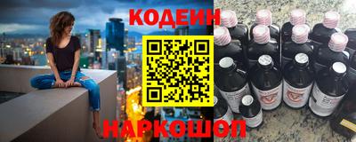 крисы Пенза
