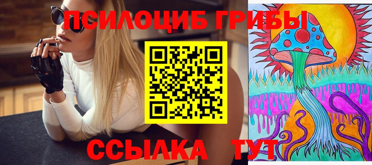 магазин    Псилоцибиновые грибы GOLDEN TEACHER  Вход с VPN  Псилоцибиновые грибы мухоморы  Артём 